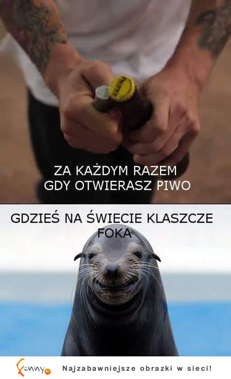 Za każdym razem gdy otwierasz piwo...