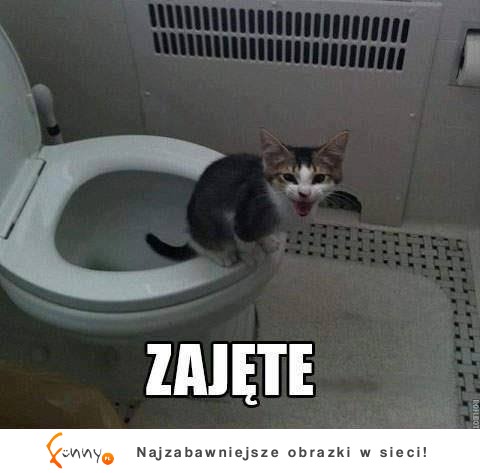 Zajęte :D