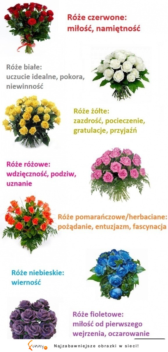 Panowie! Gdybyście nie wiedzieli co oznaczają kolor kwiatów :)