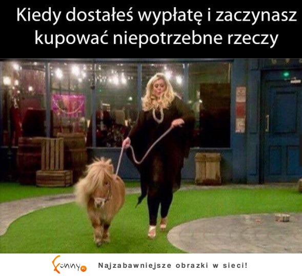 Wydaje hajsy