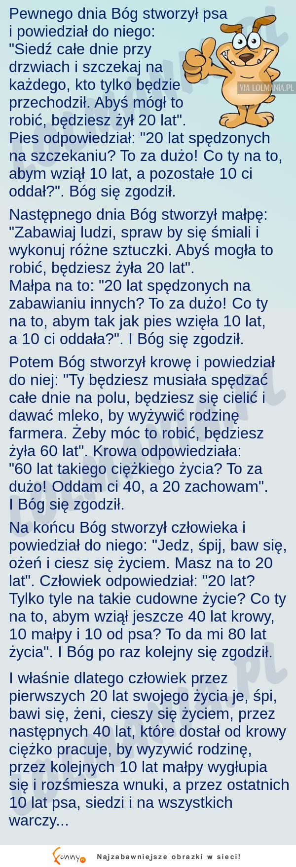 Jak wygląda życie człowieka. Super historia!