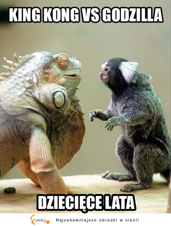 King Kong vs Godzilla