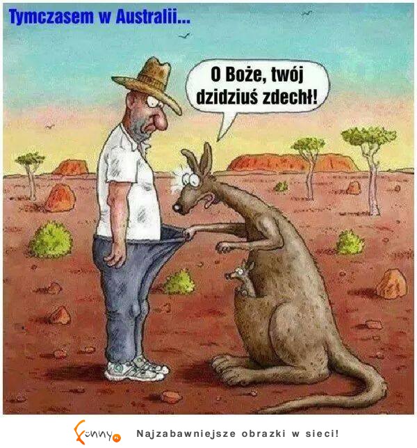 Tymczasem w Australii