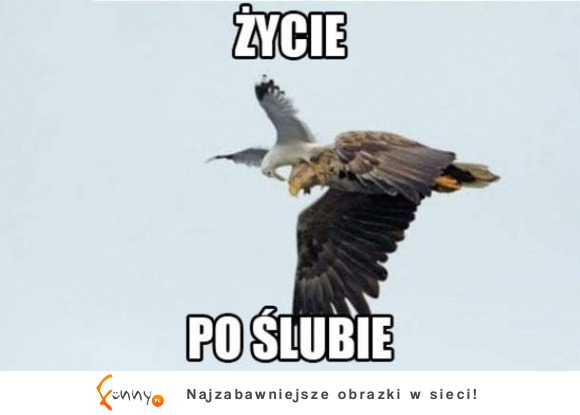 Życie po ślubie