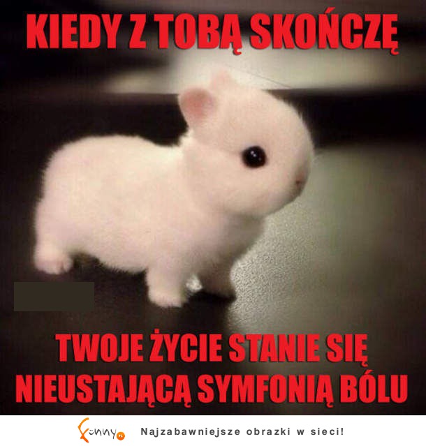 Kiedy skończy