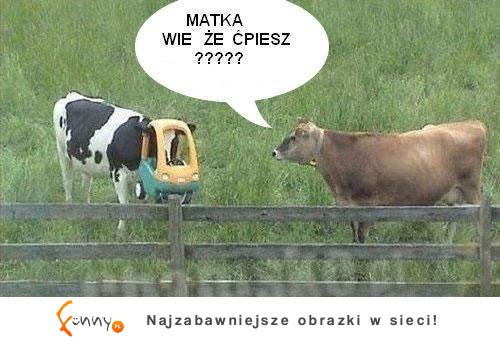 Matka wie, że..