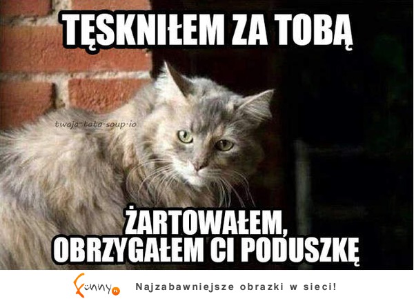 Tęskniłem za tobą :D