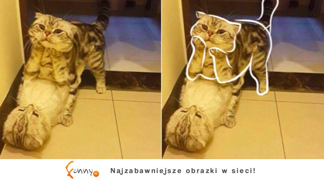 Zdjęcia, na które trzeba spojrzeć dwa razy Zdjęcia, na które trzeba spojrzeć dwa razy
