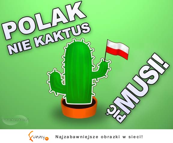 Polak nie kaktus, musi...