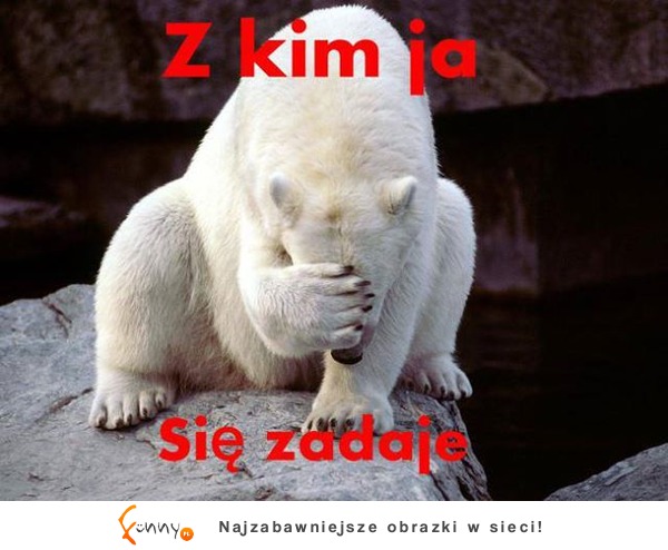 Z kim ja się zadaje ;)