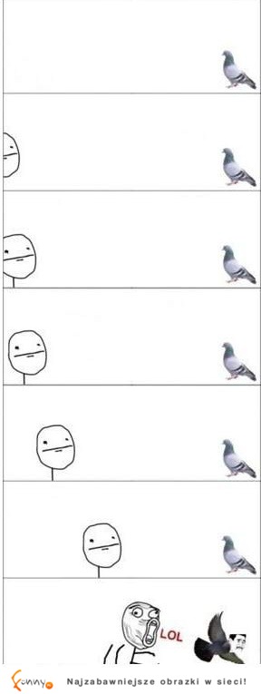 Co robię gdy widzę gołębia na ulicy... :D