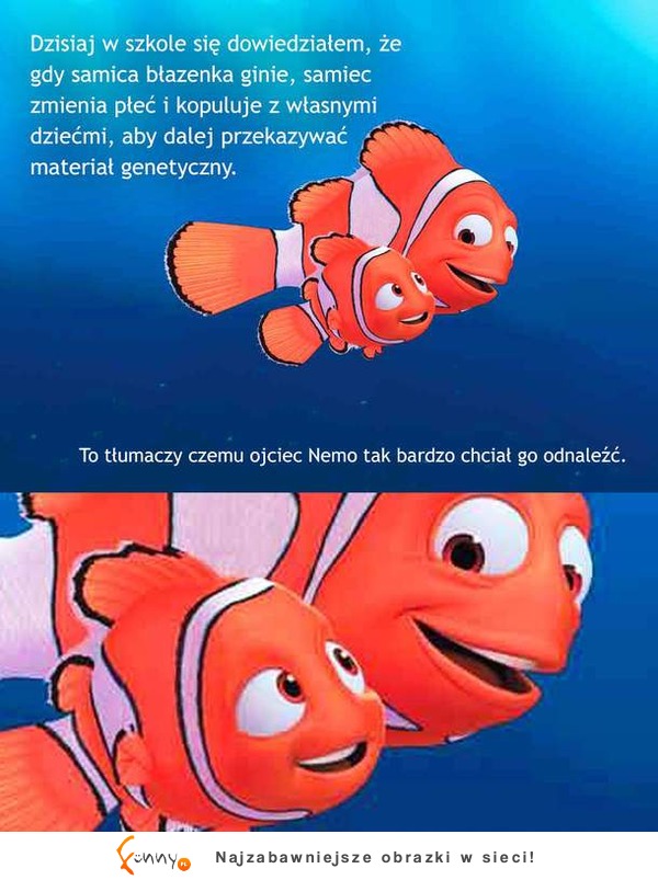 Dlaczego tato Nemo tak bardzo chciał go odnaleźć? :D Wiedziałeś?