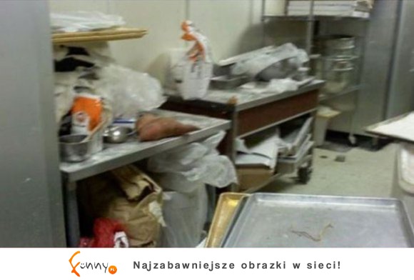 Co ukrywają przed nami właściciele największych sieci fast food? 16 zdumiewających faktów! Co ukrywają przed nami właściciele największych sieci fast food? 16 zdumiewających faktów!