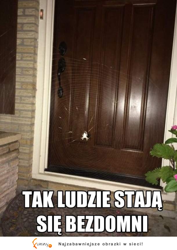 Tak to się dzieję