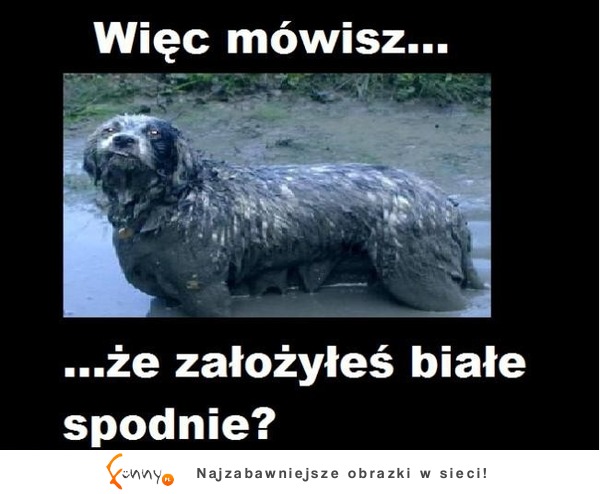 Więc mówisz...