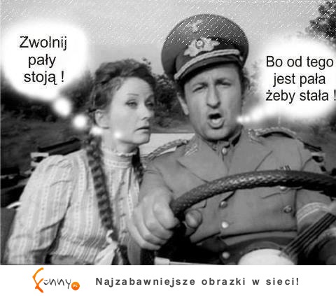 Zwolnij, pały stoją!