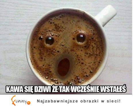 Kawa się dziwi