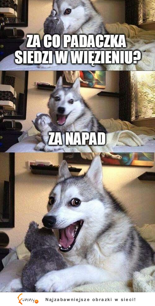 żart