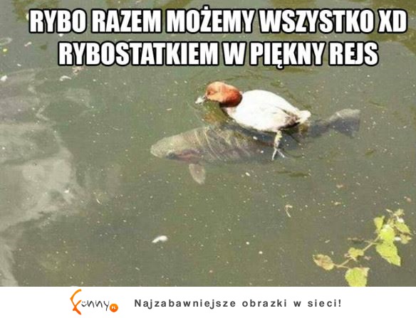 Razem możemy wszystko