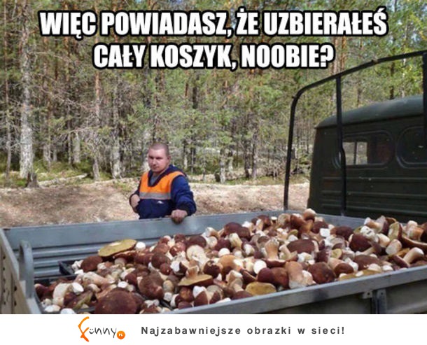 Grzybobranie