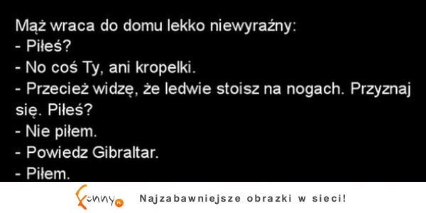 Mąż wraca do domu lekko niewyraźny... :D