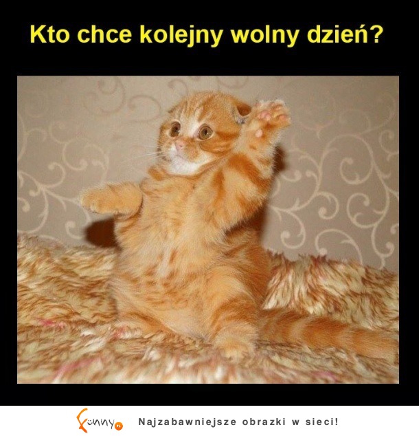 ja chcę!