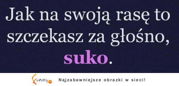 Jak na swoją rasę