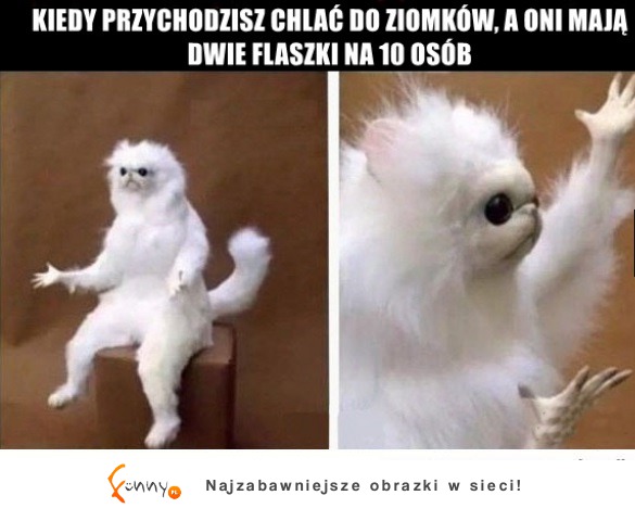 O co chodzi