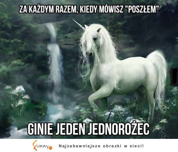 Za każdym razem