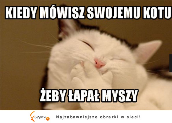 Żeby łapał myszy