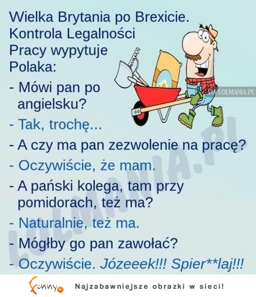 Polak zawsze sobie poradzi! HAHA DOBRE!