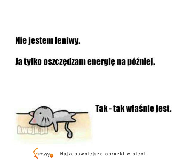 Nie jestem leniwy