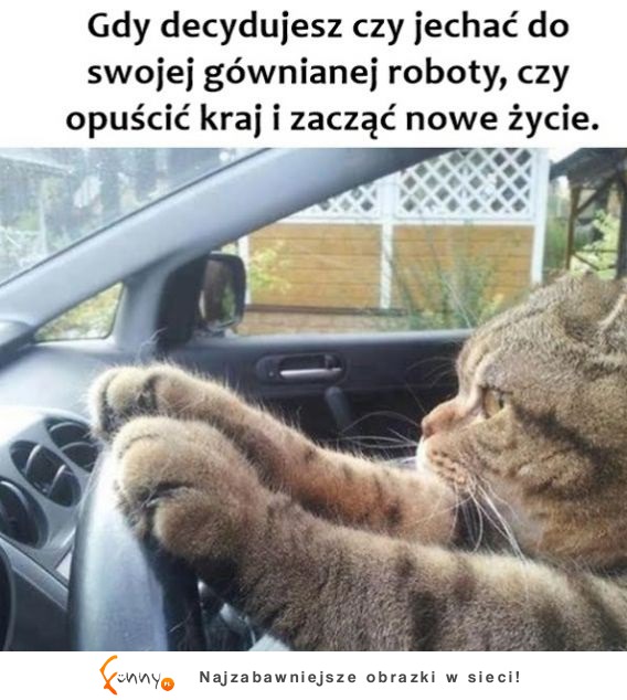 Może wyjechać