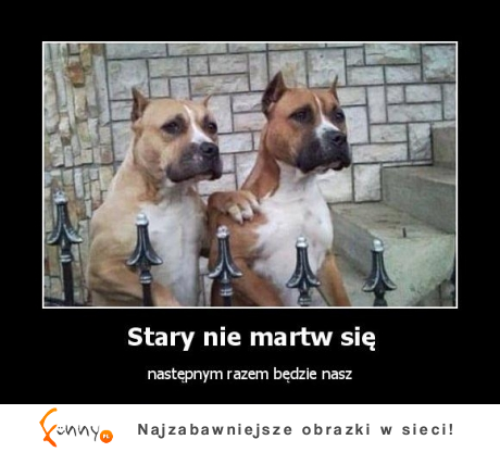 Stary,nie martw się...