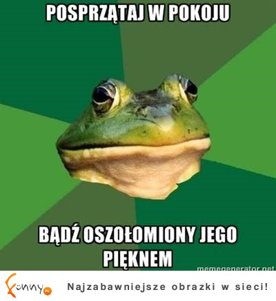 oszołom się!