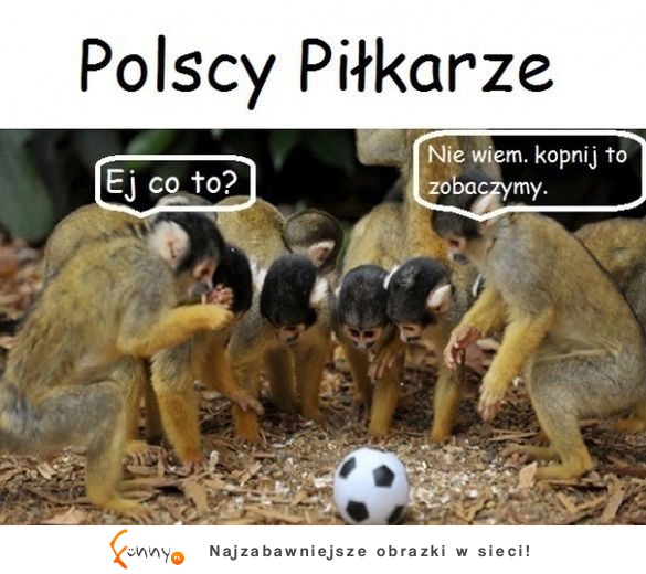 Polscy piłkarze