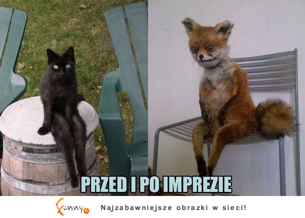 Po imprezie