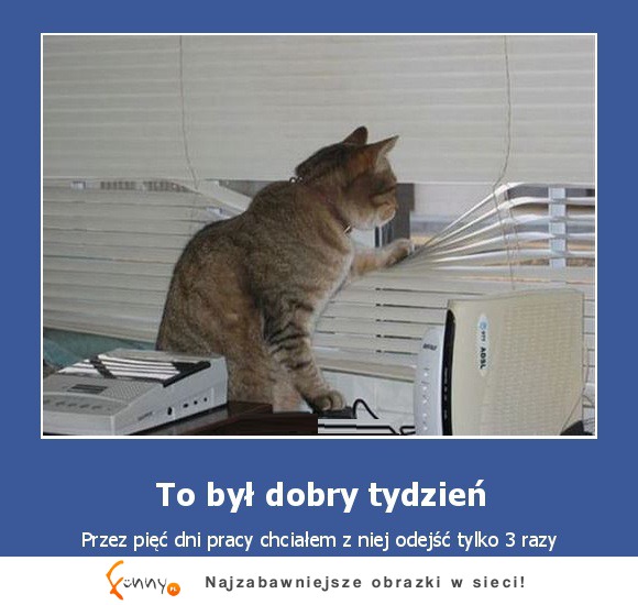 To był dobry tydzień