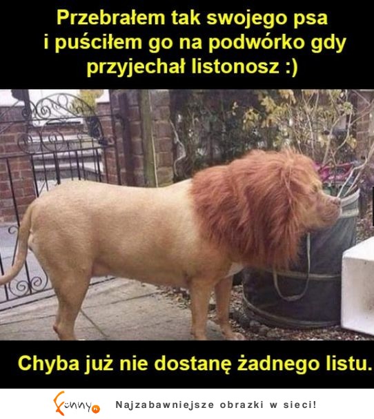 Chyba jeszcze długo nie przyniesie mi żadnego listu... XD