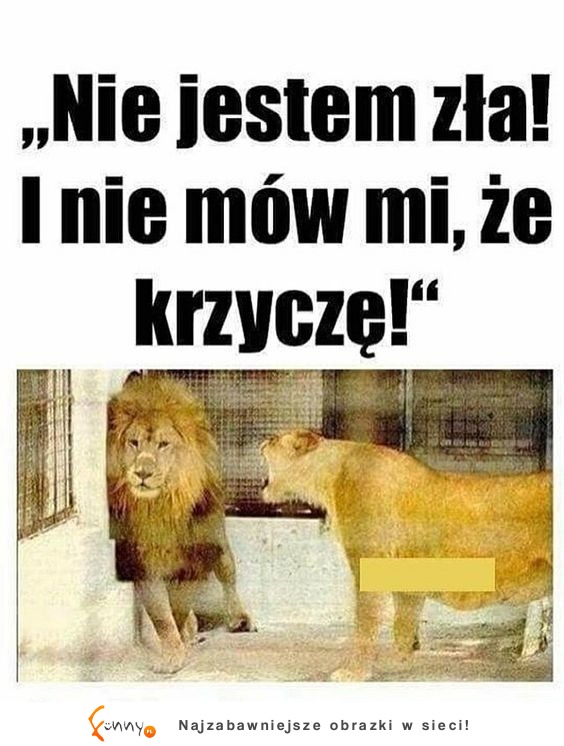 Jakbym widział moją dziewczynę, gdy się wkurzy XD