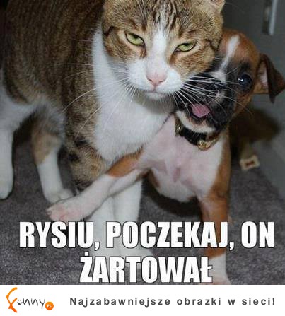 Rysiu poczekaj!