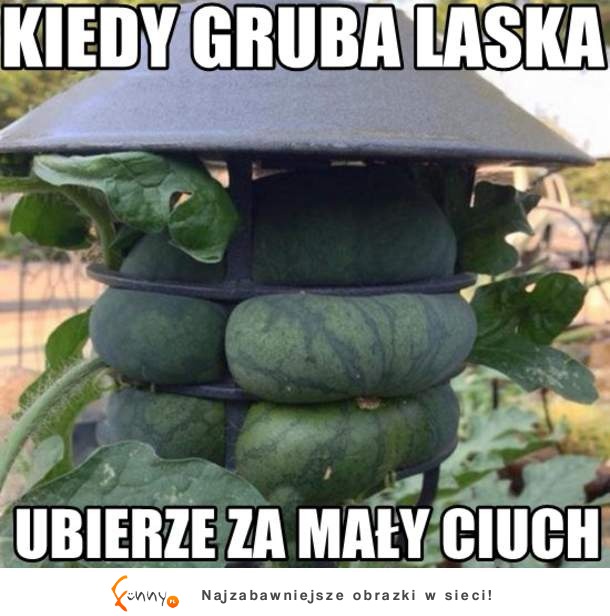 Gruba laska