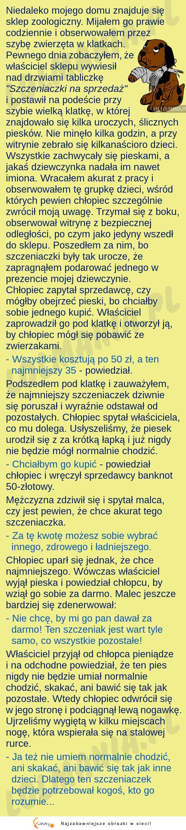 Chłopiec był zbulwersowany! Jak tak można!