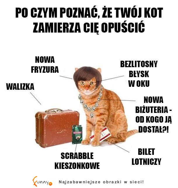 Opuszcza Cię