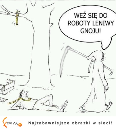 Weź się do roboty leniwy gnoju! :D