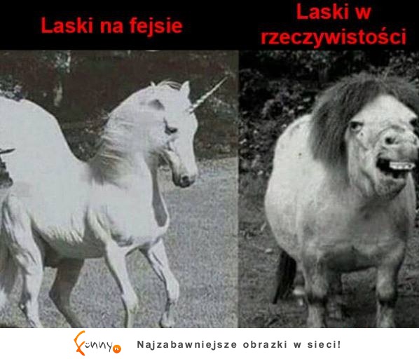 Laski na fejsie