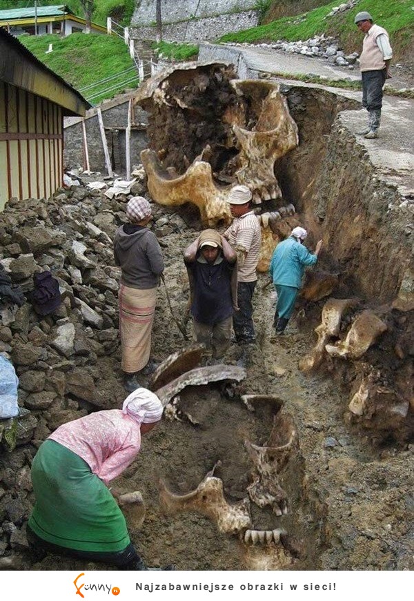 SZOK! Zobacz co odkryli archeologowie! Czy to są ludzkie...? Przyjrzyj się uważnie!