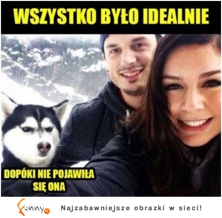 Wszystko było idealnie dopóki... zobacz co się wydarzyło!