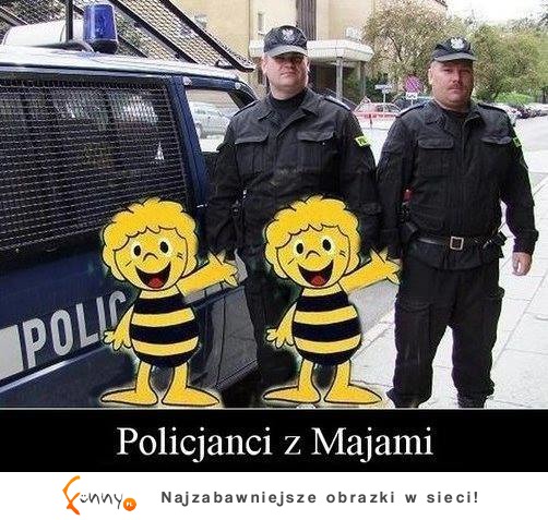 Policjanci z majami