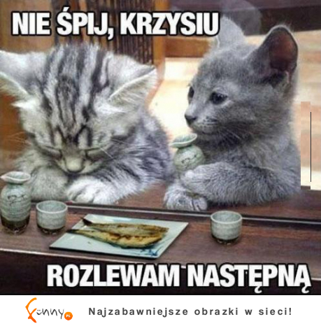 Nie spij, Krzysiu